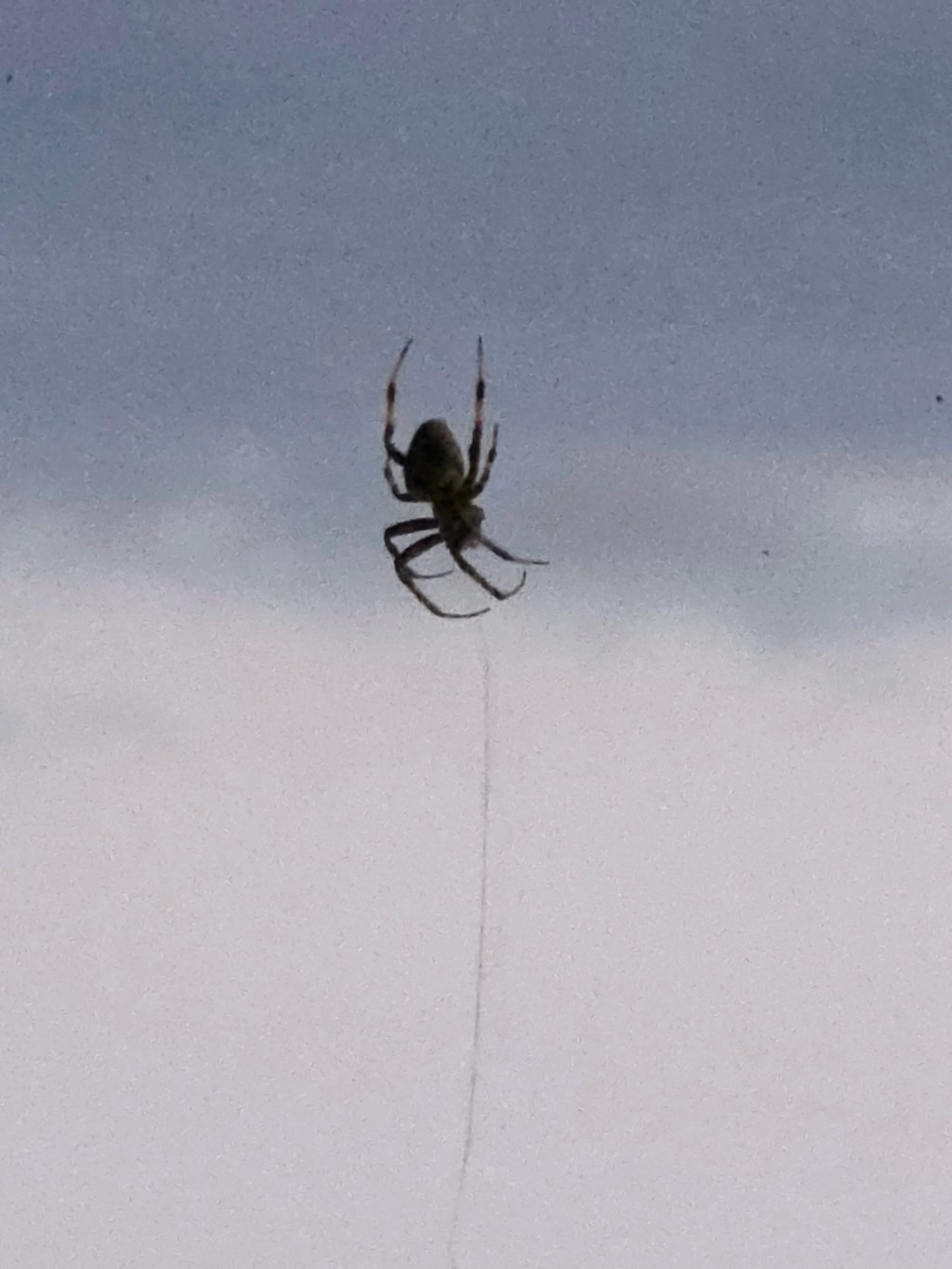 Thank You and Come&nbsp;Again